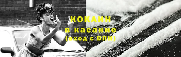 соль ск Алексин