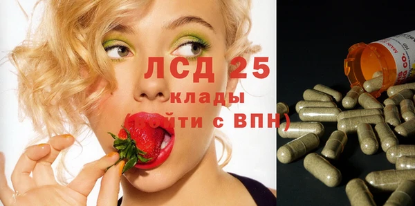 соль ск Алексин