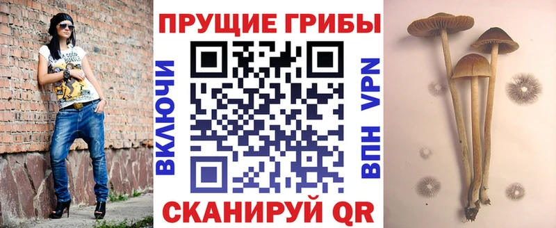 Галлюциногенные грибы прущие грибы  Хвалынск 