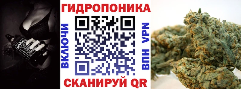 Бошки Шишки конопля  Хвалынск 